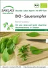 SAFLAX  -- Acetosa - 400 semi - Rumex Anteprima dell’immagine prodotto 10