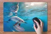 MuchoWow® Schreibtischunterlage Delphin - Sonne - Wasser Produktbild-Vorschau 3