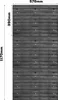 Lagersystem Wandregal 576 x 1170 mm | 45 stck. Box | Produktbild-Vorschau 4