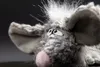 sigikid LaLa Langweile, Beasts Kuscheltier; 38606 Produktbild-Vorschau 3