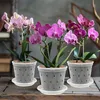 Garten Lux 10er Set Orchideentöpfe Transparente Ø17cm 1.5L Produktbild-Vorschau 5