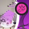 Lampada LED per piante a spettro completo, lampada per la Anteprima dell’immagine prodotto 9