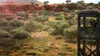 Hunting Simulator 2 - der Jagd Simulator für Nintendo Produktbild-Vorschau 2