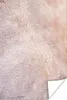 MuchoWow® Poster Pampasgras - Struktur - Pflanzen - Natur Produktbild-Vorschau 1