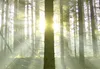 Wandbild Mega XXXL Fensterblick 250x125 cm Einteiliger Produktbild-Vorschau 9