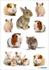 HERMA Maus Aufkleber, Hamster Sticker für Kinder & Produktbild-Vorschau 2