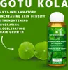 A marketing image for Orientana Gotu Kola Ayurvedic Hair Therapy, featuring the product bottle and graphic elements. Produktbild-Vorschau