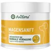 AniForte MagenSanft Pulver für Hunde 500g – Unterstützt Produktbild-Vorschau 1