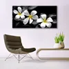 Glasbilder 140x70 Wandbild Druck auf Glas Blumen Steine Produktbild-Vorschau 3