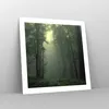 Poster - Poster ohne Rahmen - Wald Nebel Baum - 50x50 cm - Produktbild-Vorschau 7