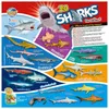 Blue Ocean Sharks Sammelfiguren 2026 - Planet Wow Hai - Produktbild-Vorschau 2