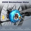 Elektrisches Fahrrad FAFREES F26 Lasting - Motor 250W Akku Produktbild-Vorschau 9