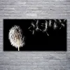 Acrylglasbilder 120x60 Wandbild Druck Pusteblume Pflanzen Produktbild-Vorschau 1