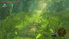 Nintendo The Legend of Zelda: Breath of the Wild - Switch 2 Podgląd zdjęcia produktu 2