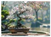 Bonsai meditativ (Wandkalender 2027 DIN A4 quer), CALVENDO Produktbild-Vorschau 8