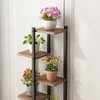 A multi-tiered plant stand with several potted plants on it, placed against a white wall. Náhled obrázku produktu