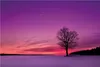 Wallario Poster - Mond und Baum am Abend bei Schnee, Produktbild-Vorschau 1