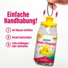 3x inseko Massenfliegenfalle I Massen Fliegenfänger I Produktbild-Vorschau 3