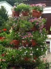 Nohel Garden Pot de fleurs SIESTA auto-arrosant montage Voir les images du produit 6
