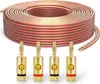 A coiled speaker cable and four banana plugs are displayed against a white background. Produktbild-Vorschau