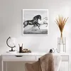 Poster - Poster ohne Rahmen - Pferde Tiere Galopp Wiese - Produktbild-Vorschau 5