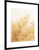 MuchoWow® Gerahmtes Poster Pampasgras - Sonne - Gras 60x80 Produktbild-Vorschau 1