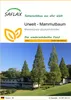 SAFLAX - Urwelt - Mammutbaum - 60 Samen - Metasequoia Produktbild-Vorschau 1