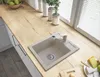 A kitchen sink and countertop scene with food items. Anteprima dell’immagine prodotto
