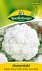 Blumenkohl, Erfurter Zwerg Produktbild-Vorschau 1