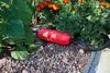 as-Schwabe Kabelschutzbox 20,0 cm rot Produktbild-Vorschau 11