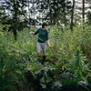 Fs.hoe, Manche Courbé Ergonomique Voir les images du produit 6
