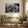 MuchoWow® Poster Elefant - Tiere - Bäume - Schwarz - Weiß Produktbild-Vorschau 3