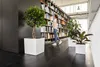 A woman is browsing books in a library or office with plants. Produktbild-Vorschau