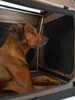 TrendPet Box pieghevole per cani TPX-Pro 110 Marrone Anteprima dell’immagine prodotto 8