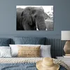 MuchoWow® Poster Elefant - Tiere - Schwarz - Weiß - Natur Produktbild-Vorschau 4