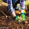 KOTARBAU® Záhradné hrable 33 cm so 6 hrotmi Malé oceľové Náhľad obrázku produktu 7