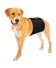 Karlie - Gentleman Wraps - Schutzhose für Rüden - 49 x 14 Produktbild-Vorschau 8