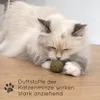 Katzenminze Spielzeug aus 100% natürlicher Katzenminze Produktbild-Vorschau 2
