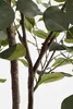 Sztuczna roślina Mica Decorations Eucalyptus w doniczce - Podgląd zdjęcia produktu 4