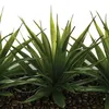 Atmosphera Créateur d'intérieur Aloe vera artificiel 3 pcs. Voir les images du produit 2
