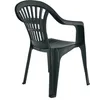 A dark green plastic garden chair shown from a rear-quarter angle against a white background. Náhled obrázku produktu
