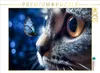 CALVENDO Puzzle Ein Motiv aus dem Kalender Die Katze und Produktbild-Vorschau 1