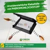 Schabenfalle Klebefalle mit Lockstoff -5x Fallen- Produktbild-Vorschau 4