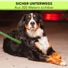 AVANA Hundeleine mit Kurzführer reflektierende Leine | 2 Produktbild-Vorschau 5