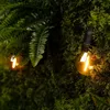 Ledvion LED Guirlande Lumineuse IP65 E27 5M dimmable E27 Voir les images du produit 2