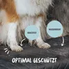 RUDELKÖNIG Kofferraumschutz Hund gesteppt – Produktbild-Vorschau 5