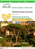 SAFLAX Garden to go - Stredomorská borovica - Pinus pinea - Náhľad obrázku produktu 1