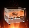 15L Ultraschallreiniger mit Heizungstimer & Korb Digitale Produktbild-Vorschau 8