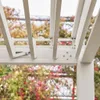 sweeek - Bioklimatische Pergola mit Lamellendach Triomphe Produktbild-Vorschau 5