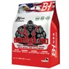 GORILLA ISO Whey 5kg Schokolade – Premium Whey Isolat Produktbild-Vorschau 1